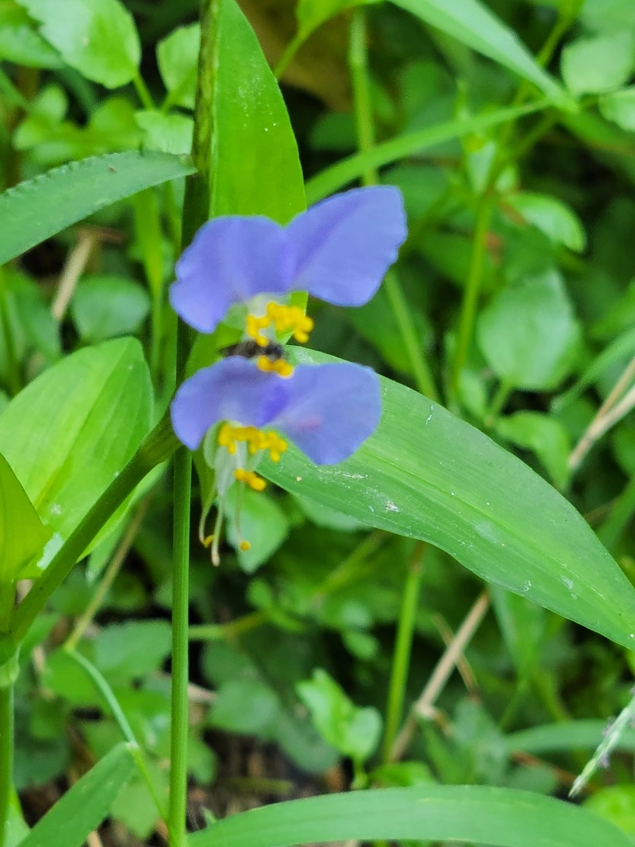 900%EF%BC%BF20250805%EF%BC%BF083148.jpg?type=w966