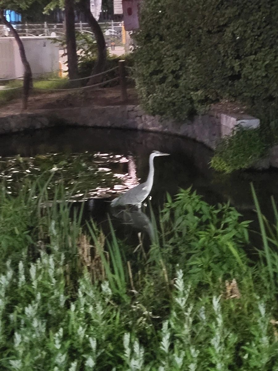 900%EF%BC%BF20250807%EF%BC%BF212430.jpg?type=w966