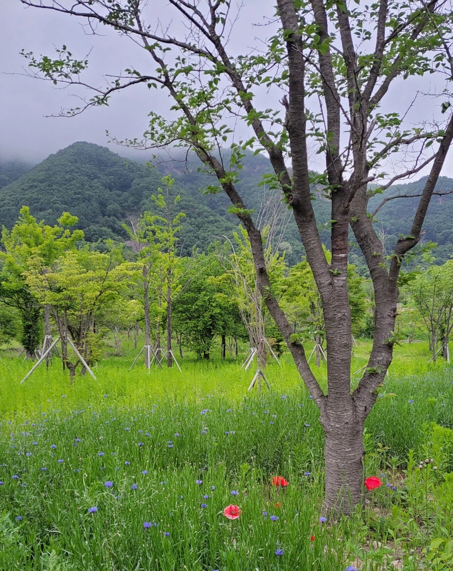 900%EF%BC%BF1741129713082.jpg?type=w966