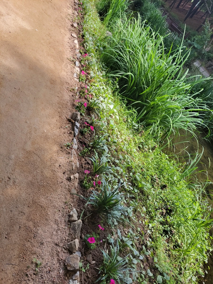 900%EF%BC%BF20250615%EF%BC%BF094416.jpg?type=w966