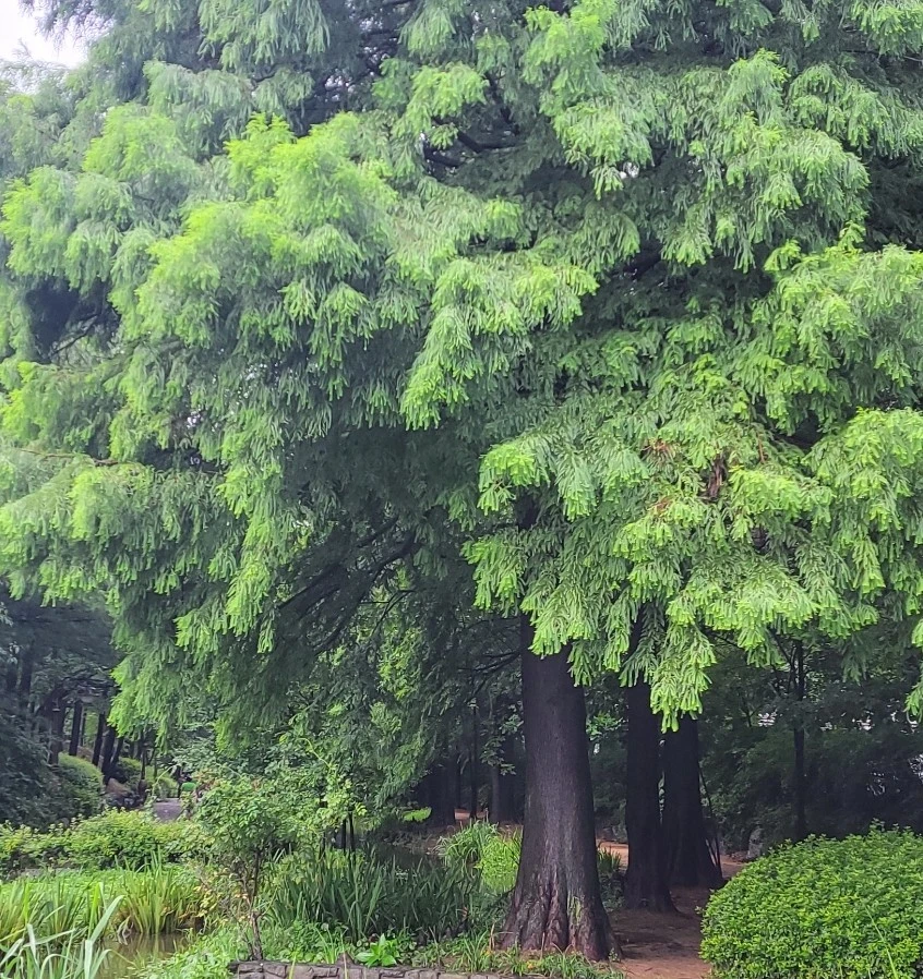 1753857234562.jpg?type=w966