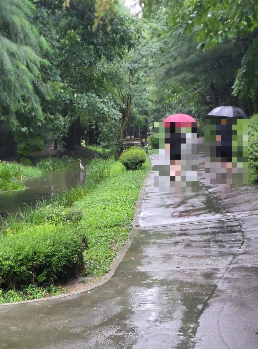 900%EF%BC%BF1752889963295.jpg?type=w966