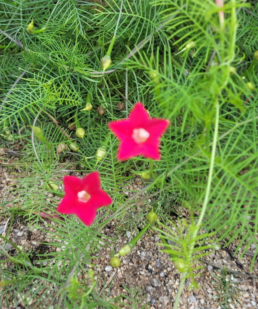 900%EF%BC%BF1741304710126.jpg?type=w966