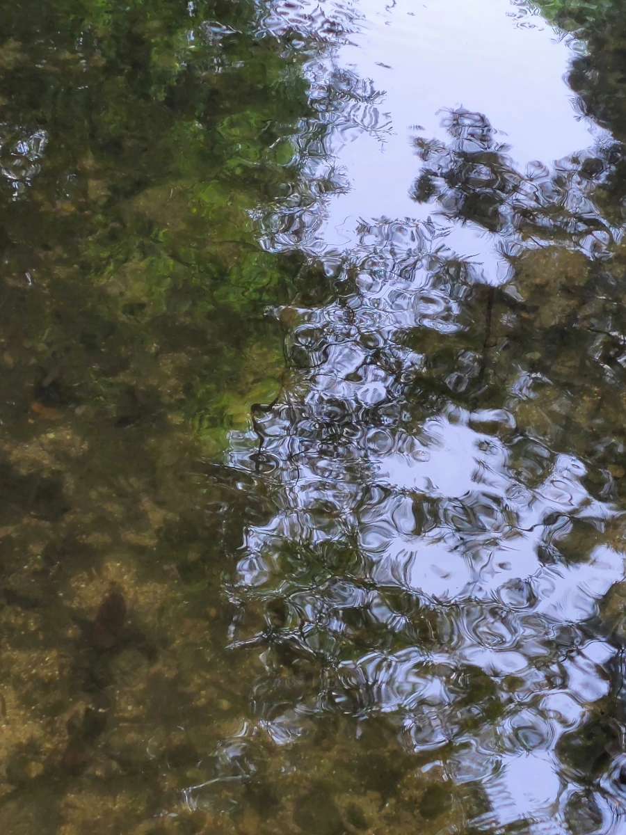 900%EF%BC%BF20250613%EF%BC%BF100335.jpg?type=w966