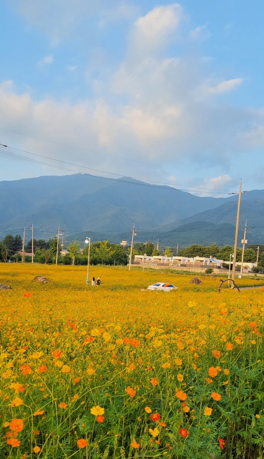 900%EF%BC%BF1744852050769.jpg?type=w966