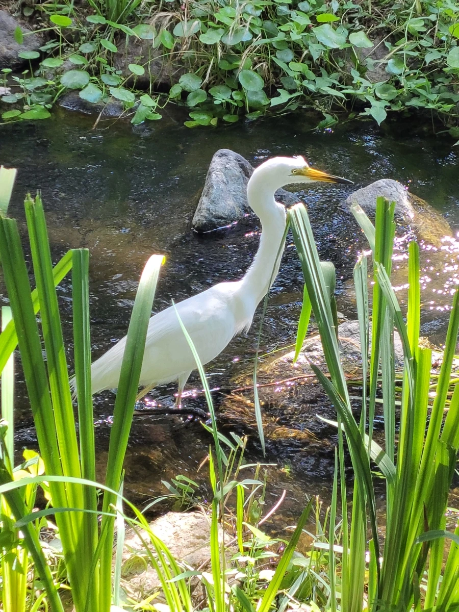 900%EF%BC%BF20250615%EF%BC%BF095626.jpg?type=w966