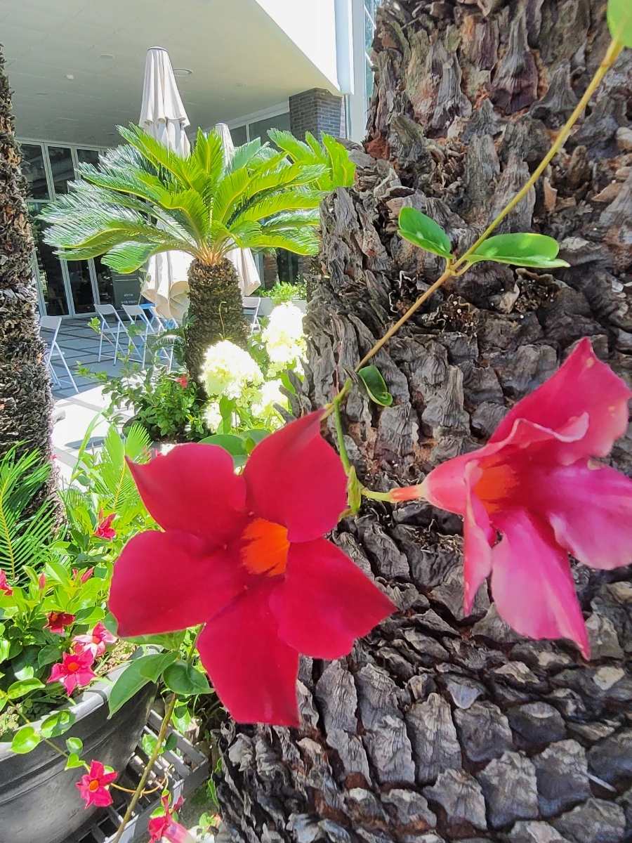 900%EF%BC%BF20250727%EF%BC%BF131437.jpg?type=w966