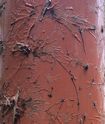 SE-8254b3c5-5222-11f0-a71e-3166e207aa52.jpg?type=w966