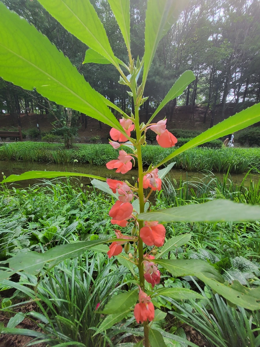 900%EF%BC%BF20250808%EF%BC%BF094949.jpg?type=w966