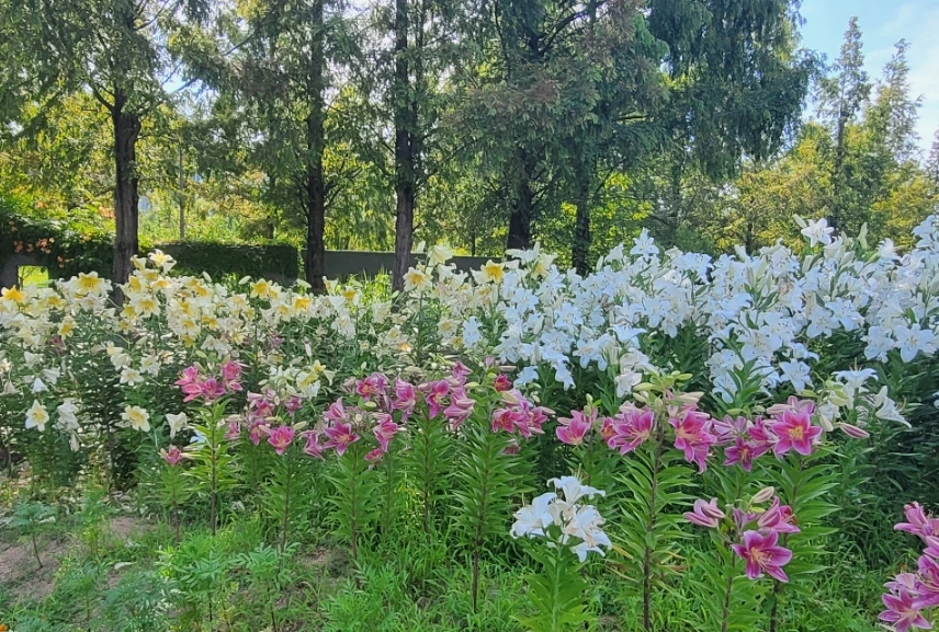 SE-26455502-8dc2-4e02-a3e8-51ac054e0ccc.jpg?type=w966