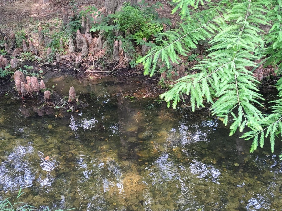 900%EF%BC%BF20250613%EF%BC%BF095833.jpg?type=w966