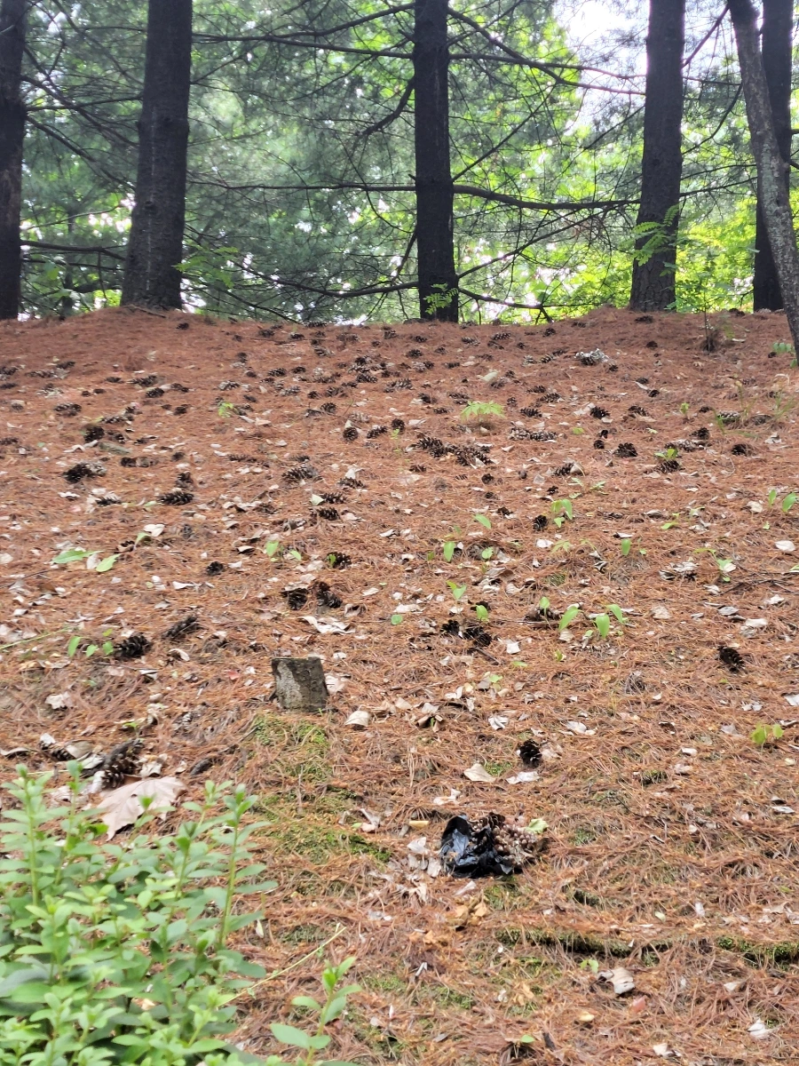 900%EF%BC%BF20250613%EF%BC%BF102838.jpg?type=w966