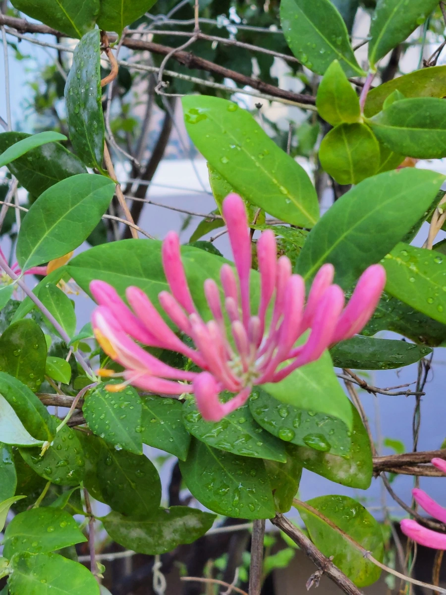 900%EF%BC%BF20250729%EF%BC%BF084743.jpg?type=w966