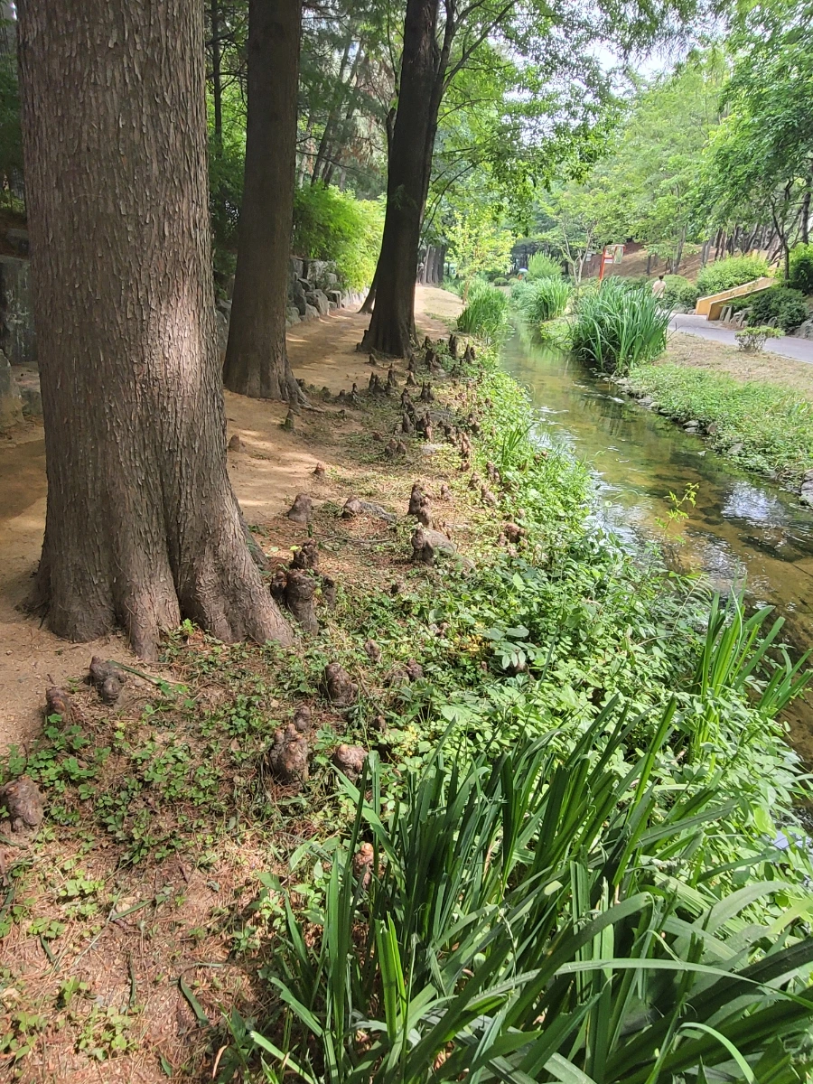 900%EF%BC%BF20250613%EF%BC%BF101922.jpg?type=w966