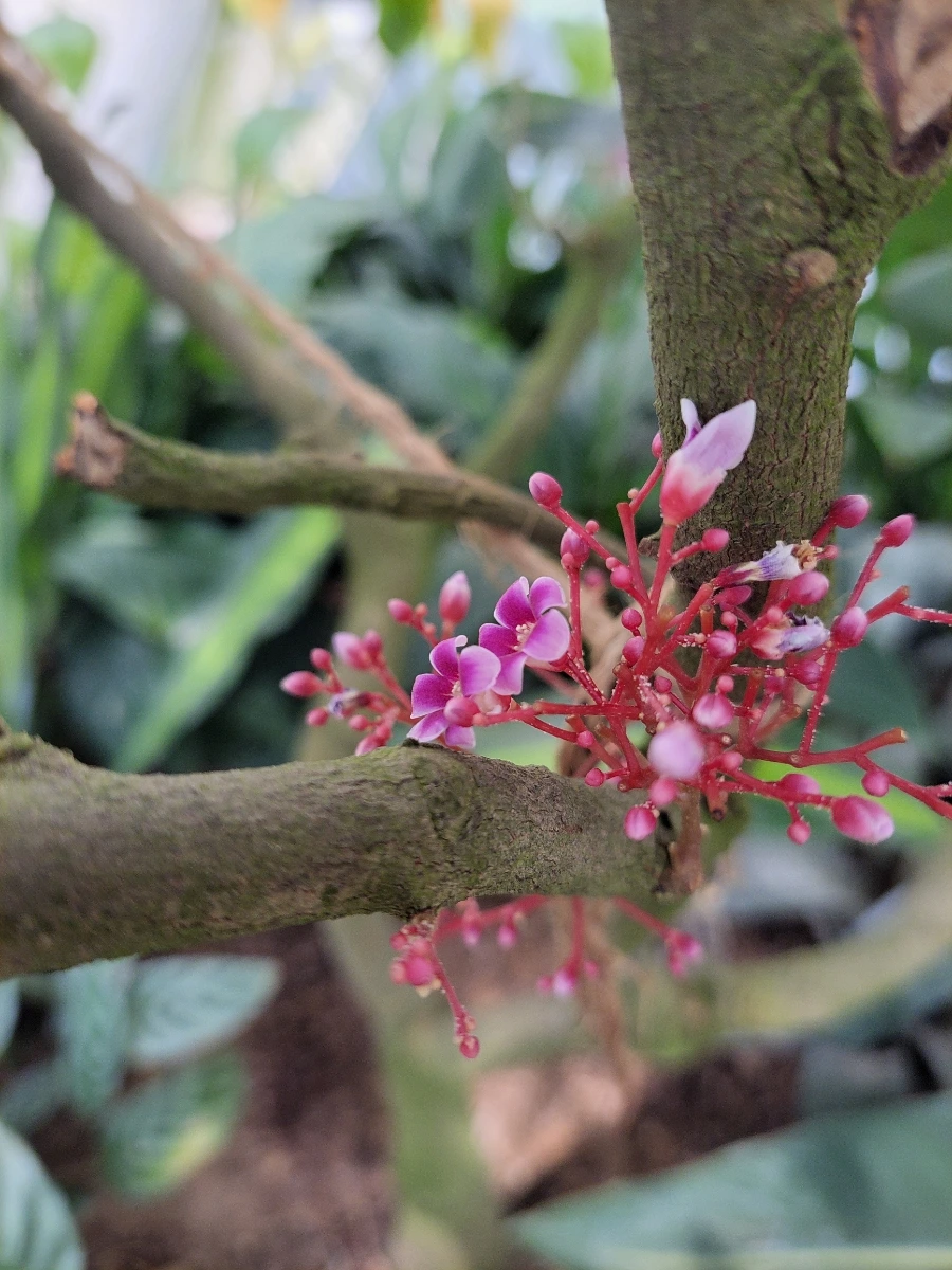 900%EF%BC%BF20250712%EF%BC%BF151337.jpg?type=w966