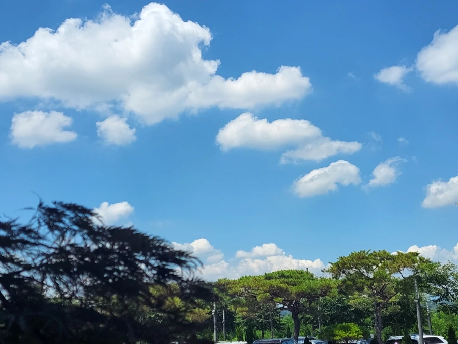 900%EF%BC%BF20250727%EF%BC%BF131725.jpg?type=w966