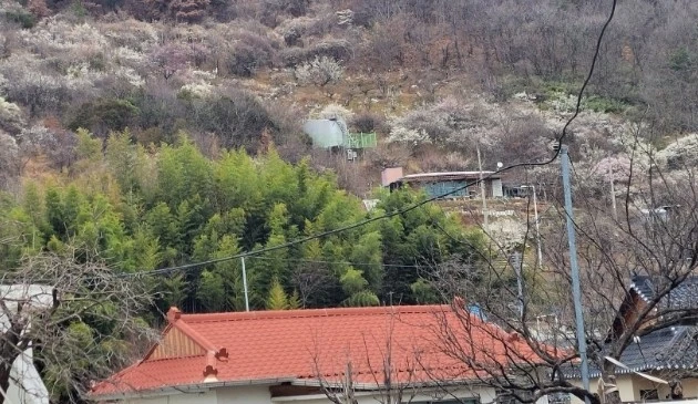 1742080645072.jpg?type=w966