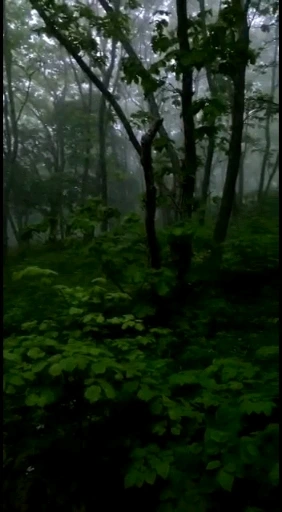 5653798_uploaded_5679149.jpg?type=w966