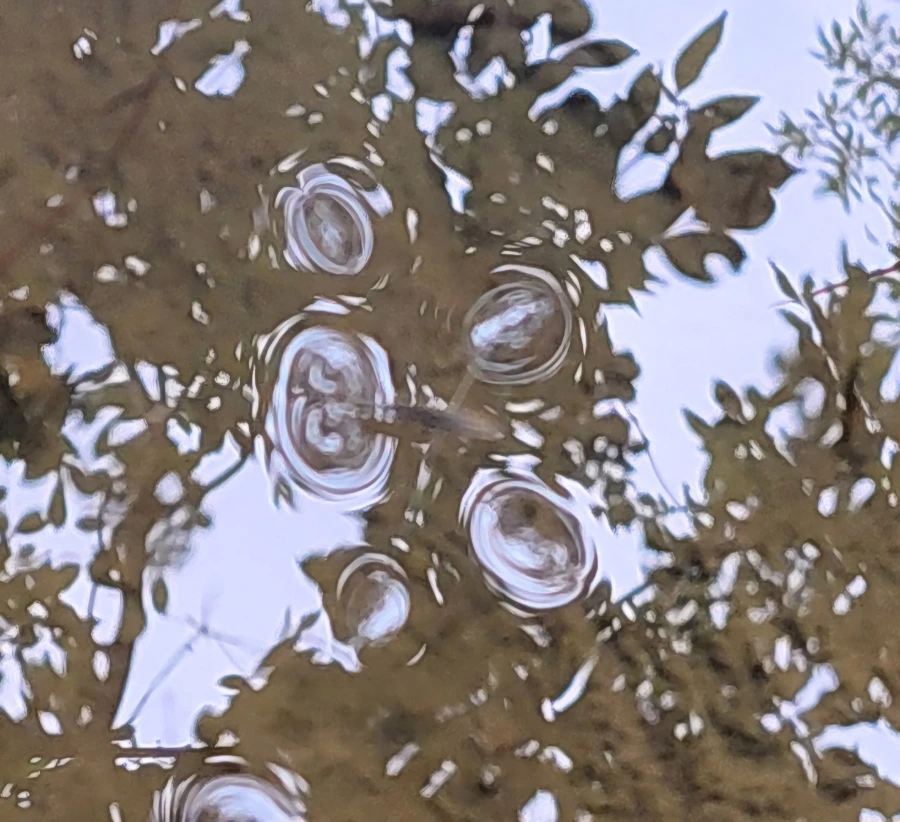 900%EF%BC%BF20250808%EF%BC%BF095805.jpg?type=w966