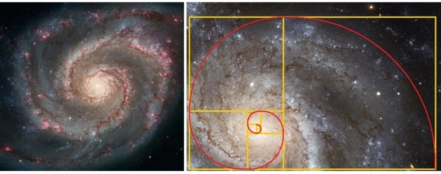 SE-20bd944e-5474-11f0-921e-f9fc36c92cd1.jpg?type=w966