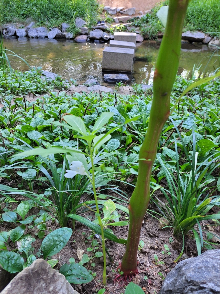 900%EF%BC%BF20250805%EF%BC%BF082848.jpg?type=w966