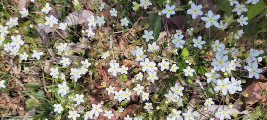 900%EF%BC%BF1745359773888.jpg?type=w966