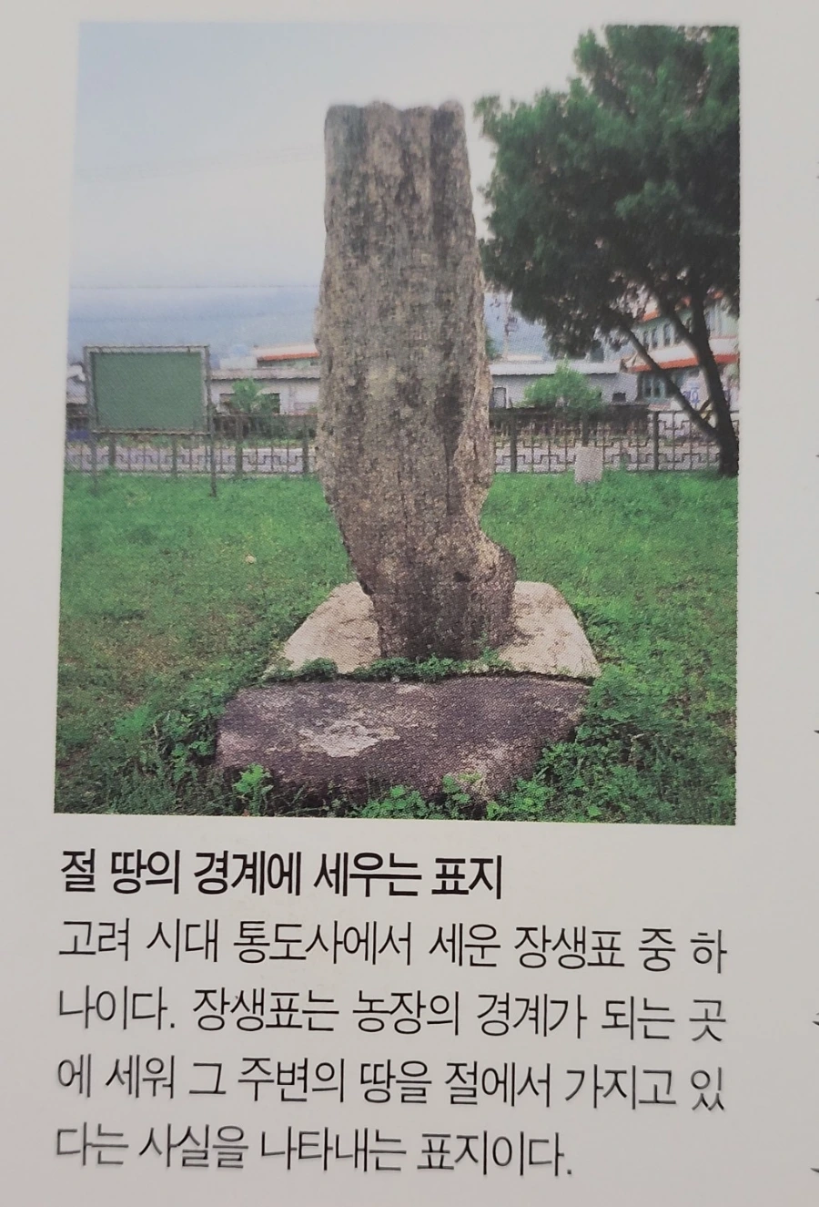 900%EF%BC%BF1742083282002.jpg?type=w966