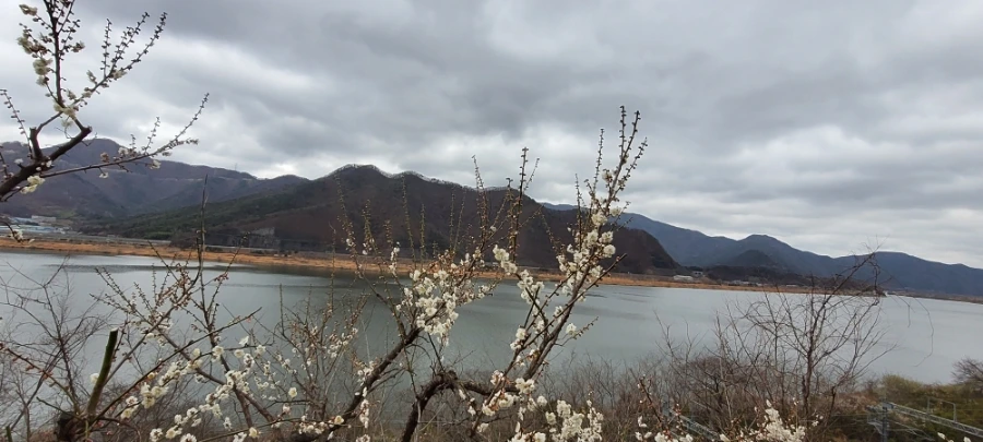 900%EF%BC%BF20250315%EF%BC%BF154252.jpg?type=w966