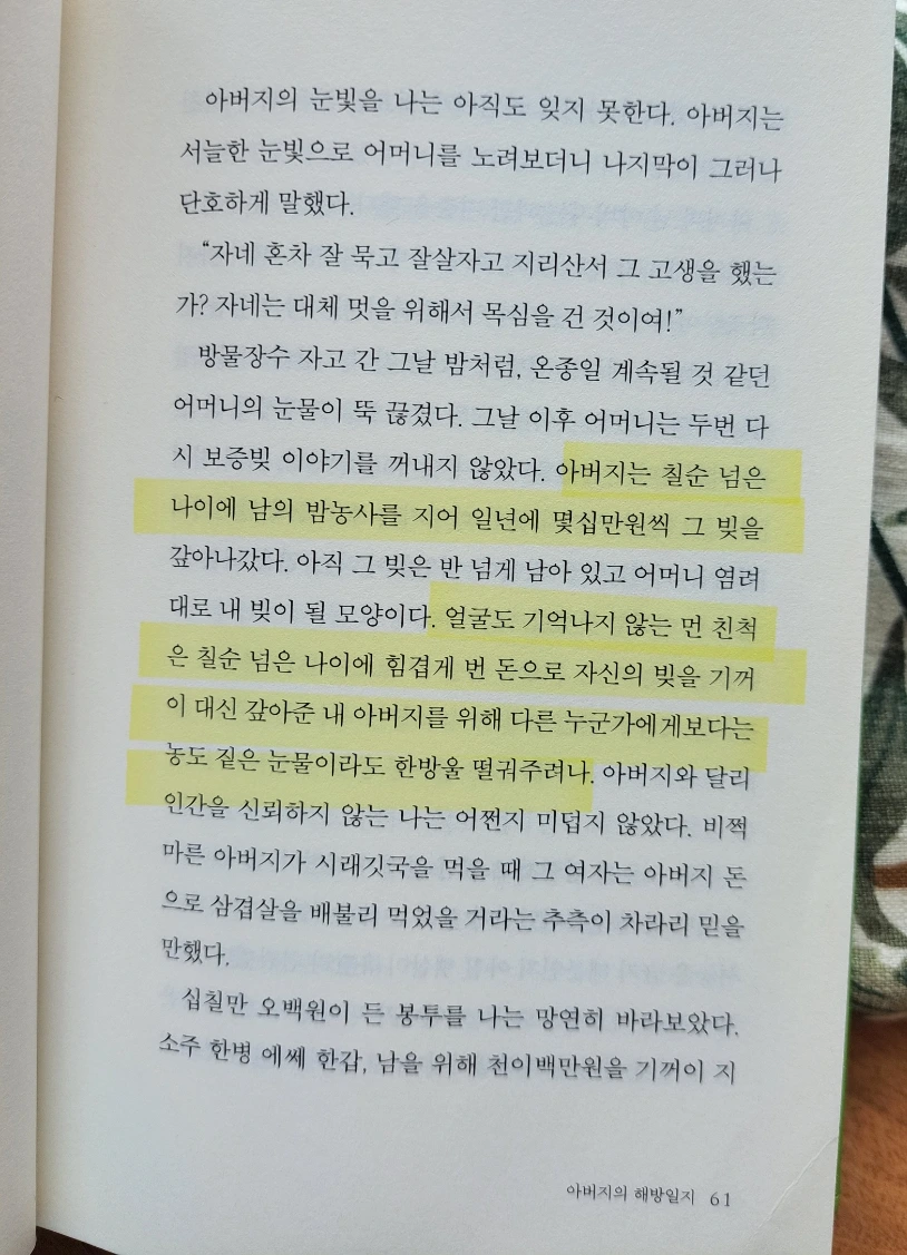 SE-2ecc3b14-4990-11f0-970d-174e344a39cc.jpg?type=w966