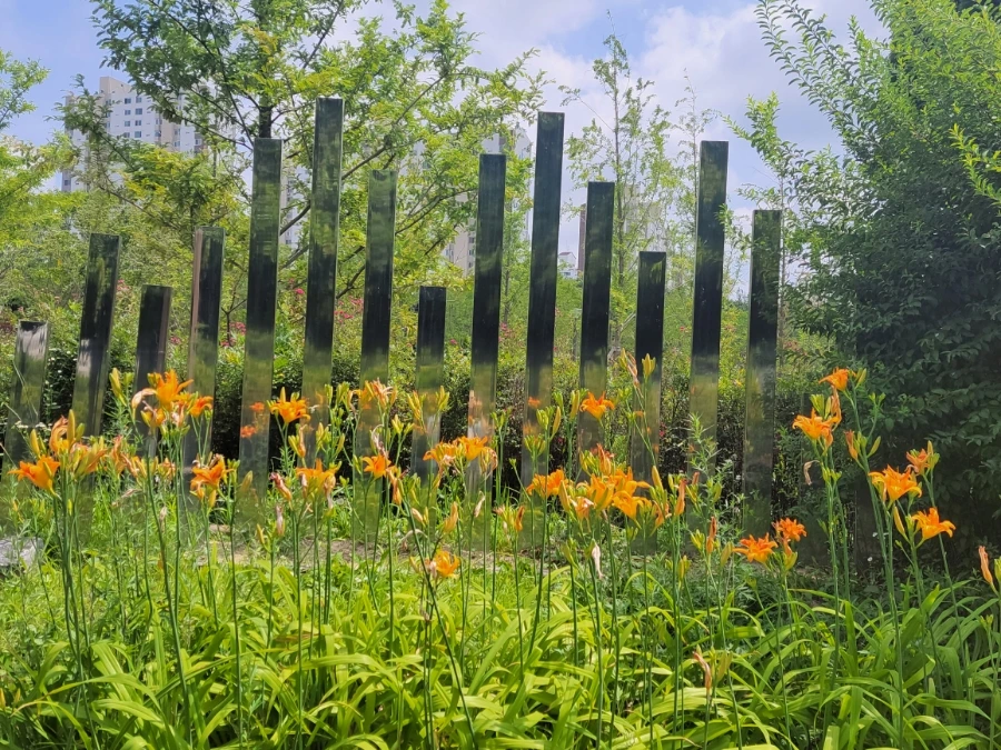 900%EF%BC%BF20250705%EF%BC%BF141255.jpg?type=w966