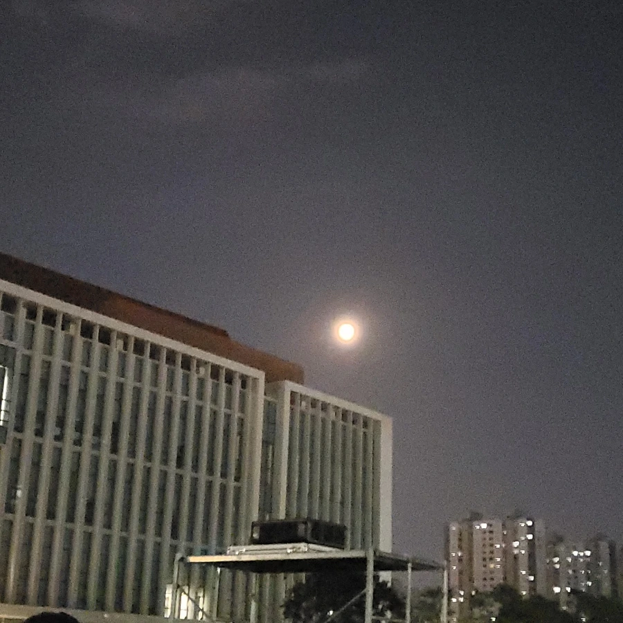 900%EF%BC%BF1752099245311.jpg?type=w966