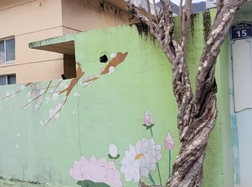 1742080788495.jpg?type=w966