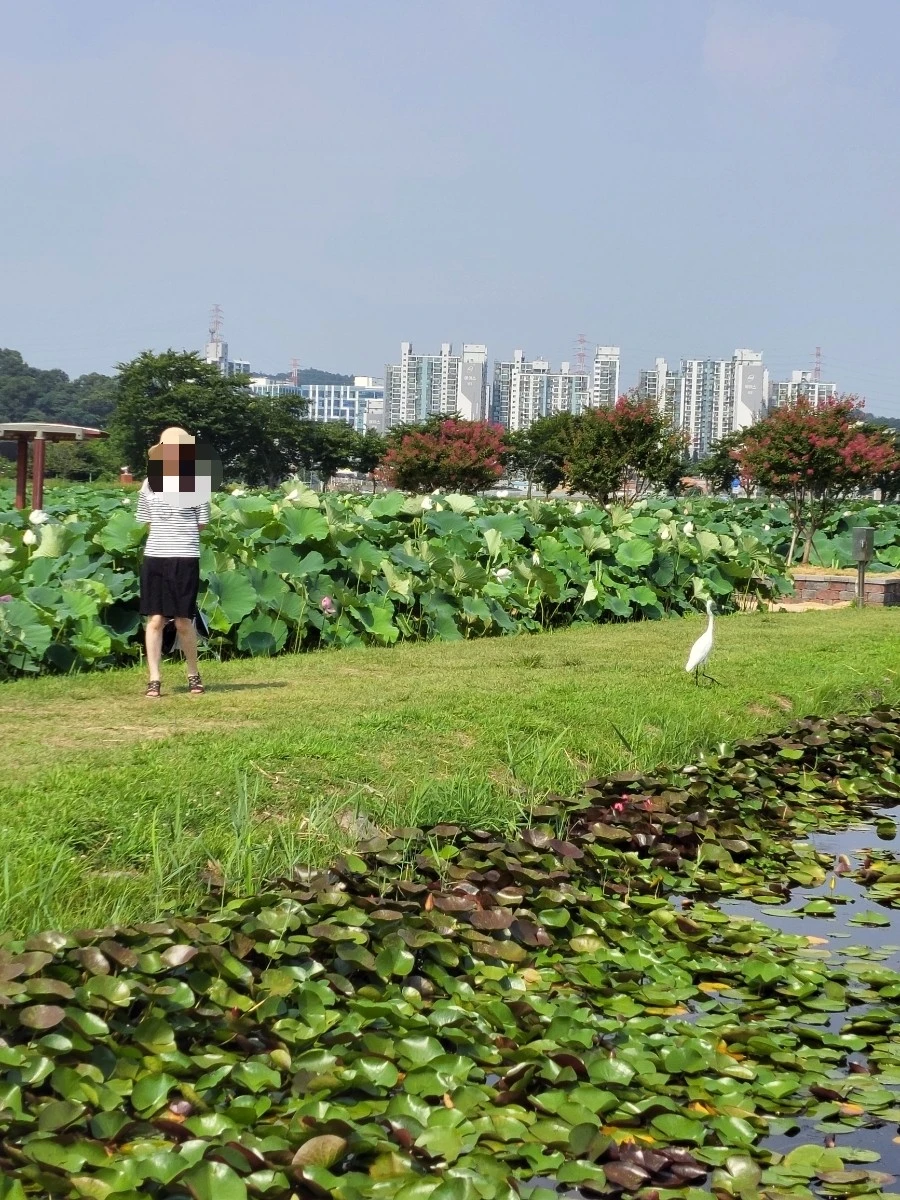 1753941170802.jpg?type=w966