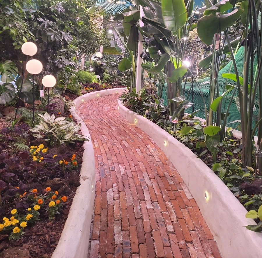 900%EF%BC%BF1752029214049.jpg?type=w966