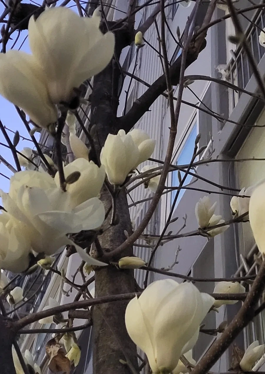 900%EF%BC%BF20250328%EF%BC%BF191556.jpg?type=w1