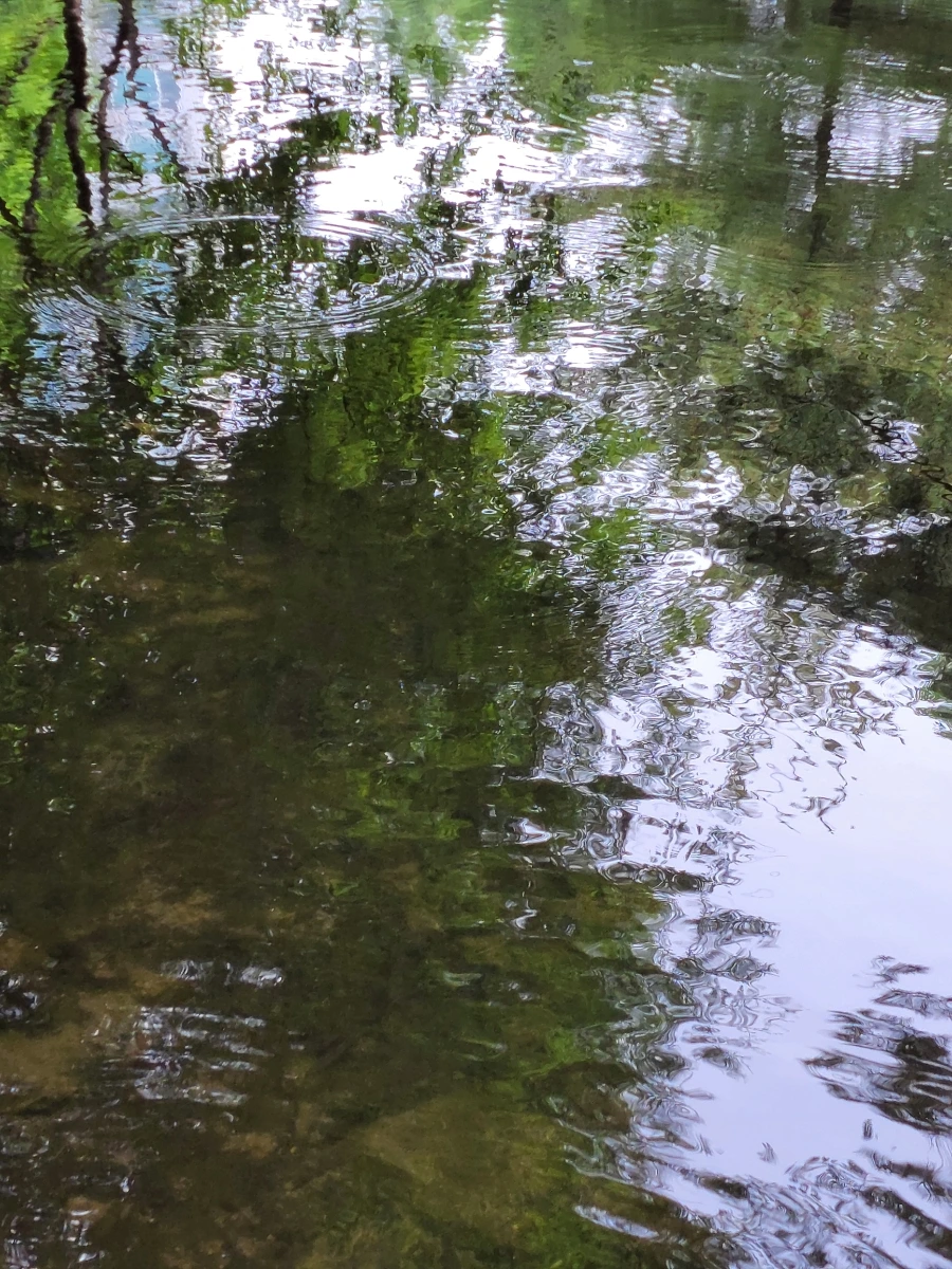 900%EF%BC%BF20250613%EF%BC%BF100418.jpg?type=w966