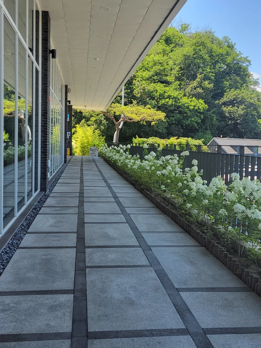 900%EF%BC%BF20250727%EF%BC%BF130914.jpg?type=w966