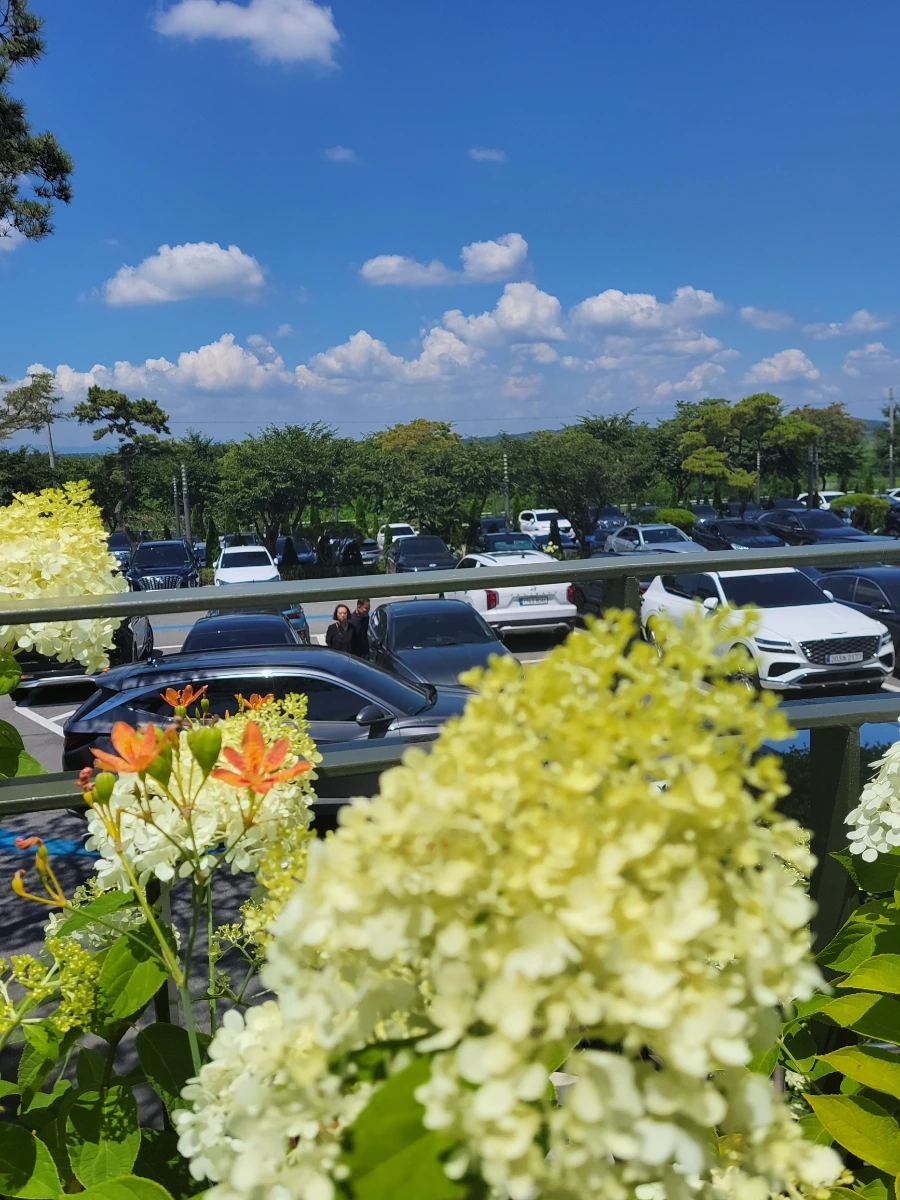 900%EF%BC%BF20250727%EF%BC%BF131347.jpg?type=w966