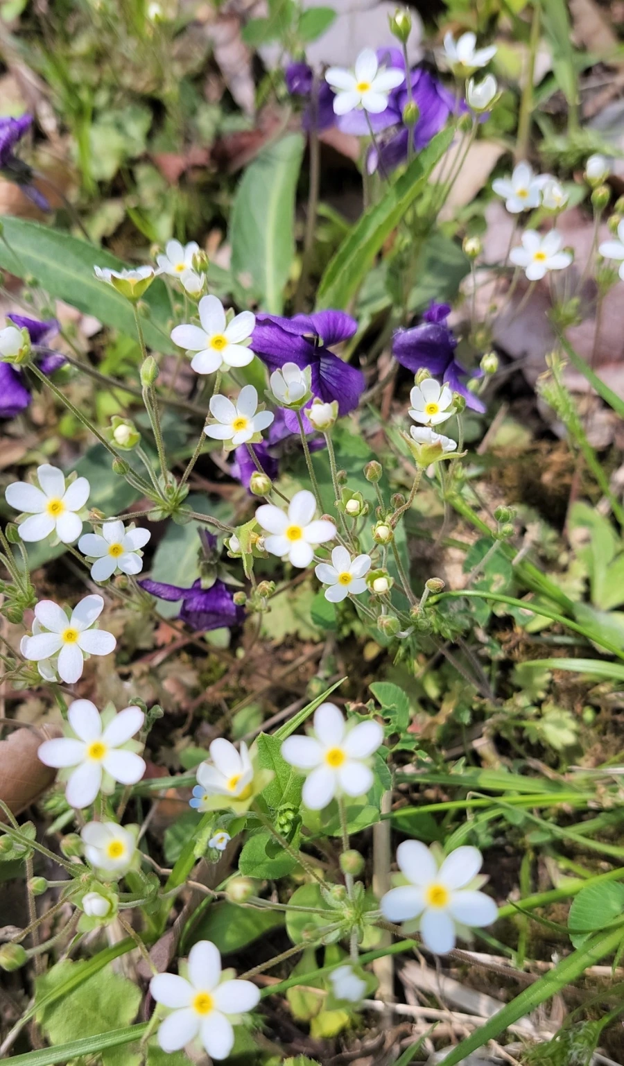 900%EF%BC%BF1745710563745.jpg?type=w966