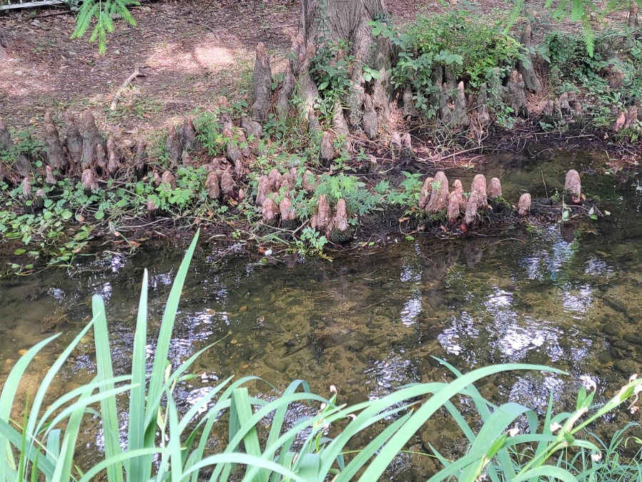 900%EF%BC%BF20250613%EF%BC%BF095656.jpg?type=w966