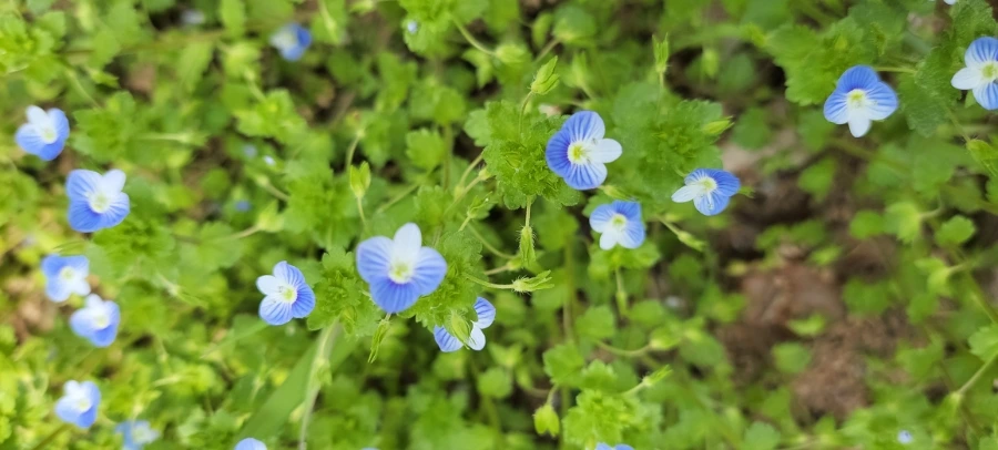 900%EF%BC%BF20250418%EF%BC%BF125218.jpg?type=w966