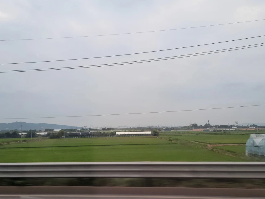 900%EF%BC%BF20250803%EF%BC%BF074452.jpg?type=w966