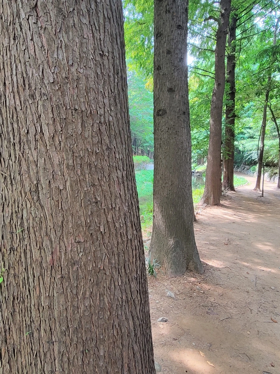 900%EF%BC%BF20250730%EF%BC%BF103941.jpg?type=w966