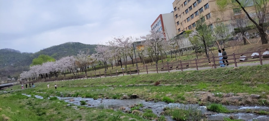 900%EF%BC%BF20250412%EF%BC%BF133955.jpg?type=w966