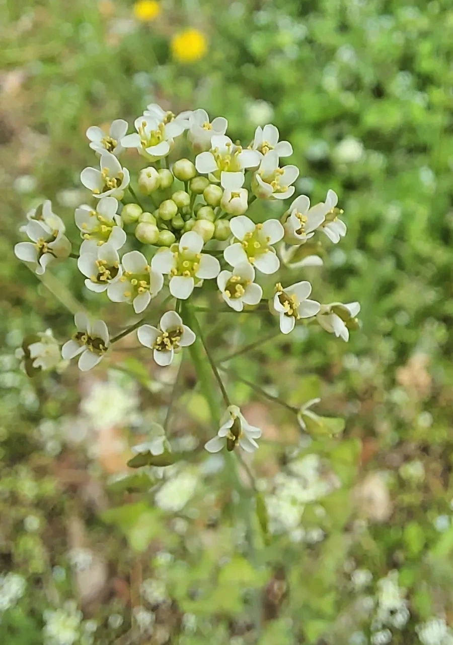 900%EF%BC%BF1745360103205.jpg?type=w966