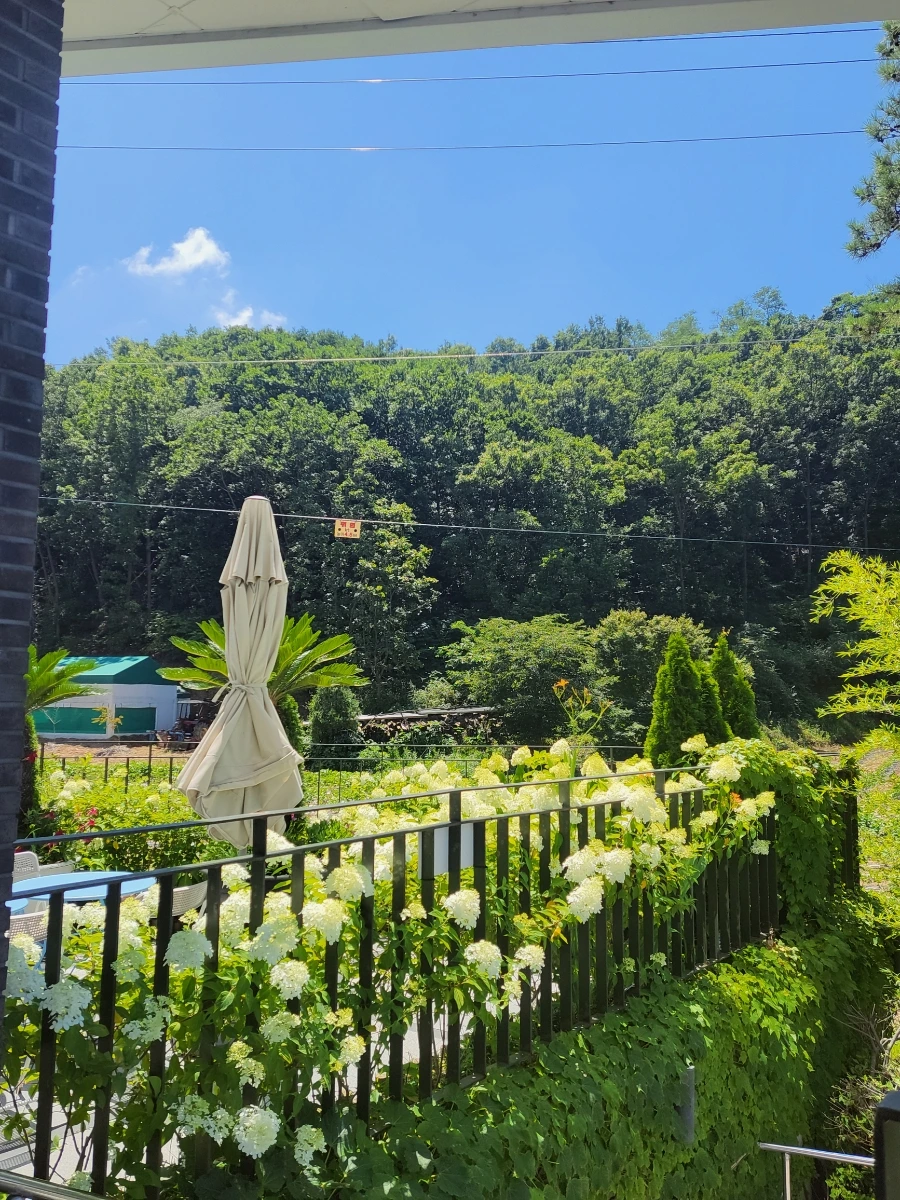 900%EF%BC%BF20250727%EF%BC%BF131244.jpg?type=w966