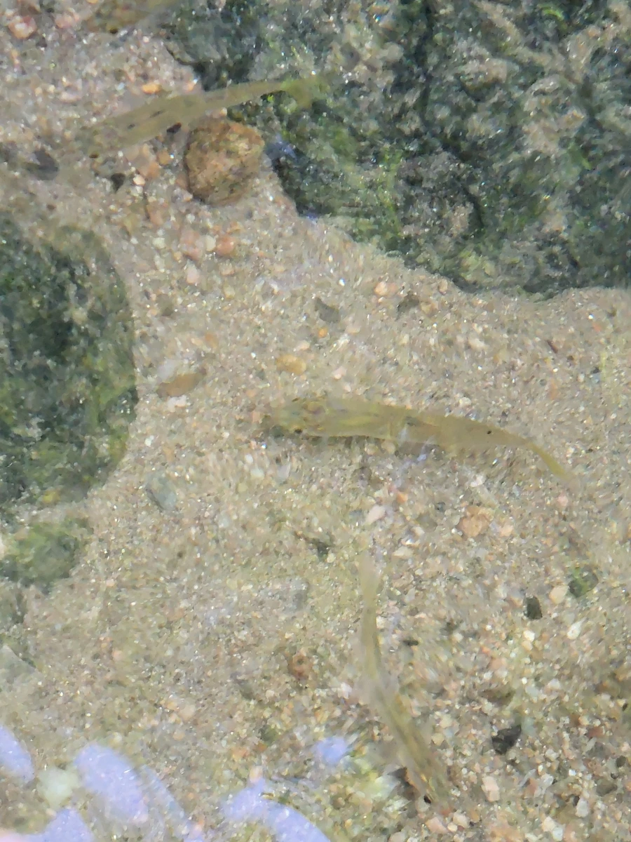 900%EF%BC%BF20250805%EF%BC%BF084745.jpg?type=w966