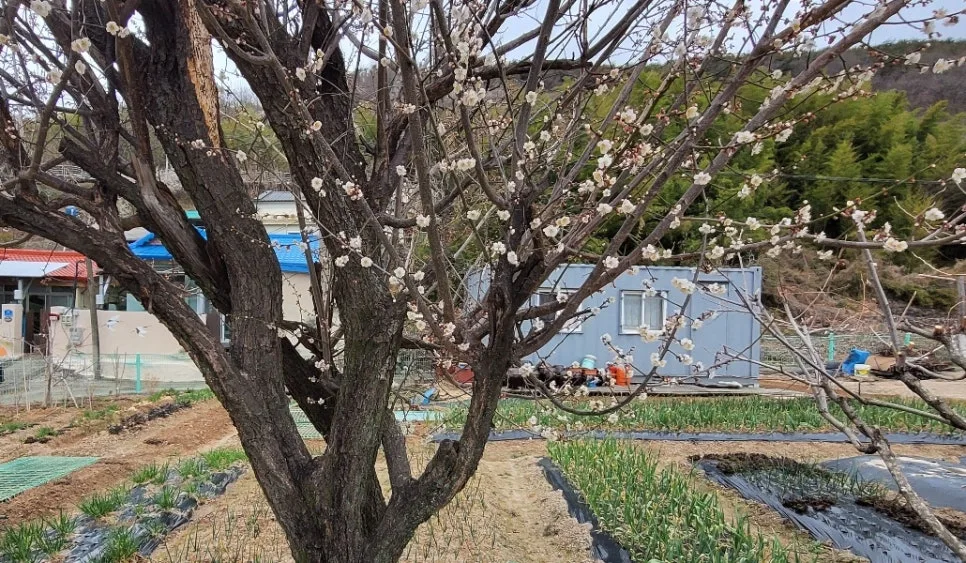 SE-2c4cddee-abe8-4973-8d6c-c9224c8f3ce5.jpg?type=w966