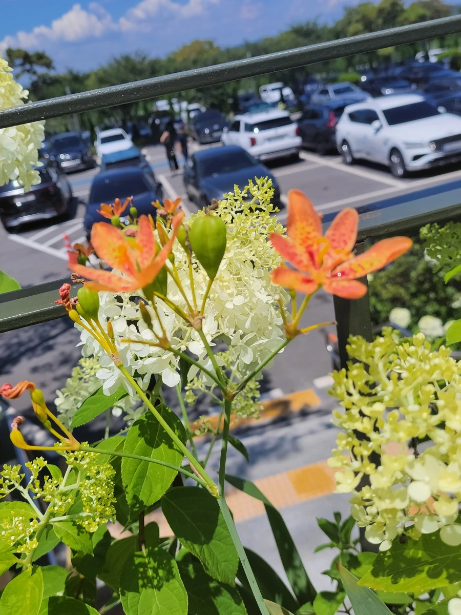 900%EF%BC%BF20250727%EF%BC%BF131339.jpg?type=w966