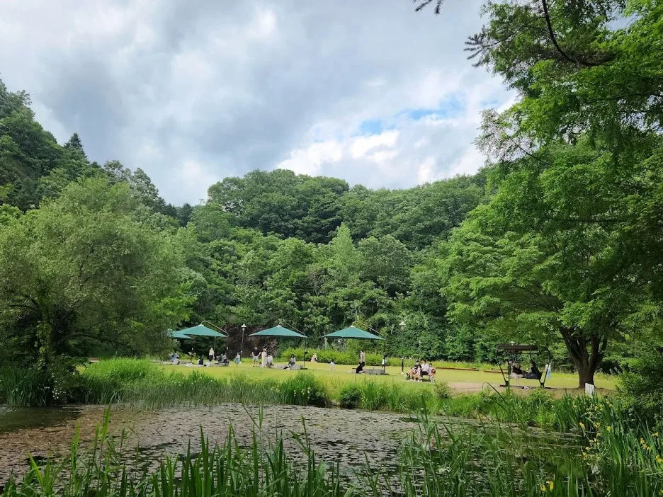 %EC%95%88%EB%8F%99%EB%B9%84%EB%B0%80%EC%9D%98%EC%88%B2.jpg?type=w1